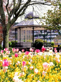 Dartmouth Bandstand in Spring